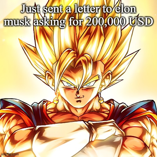 Vegito stanced tf up | Just sent a letter to elon musk asking for 200,000 USD | image tagged in vegito stanced tf up | made w/ Imgflip meme maker