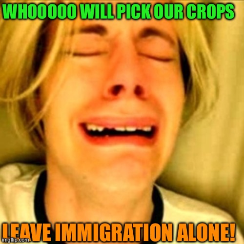 Leave illegal immigrants alone | WHOOOOO WILL PICK OUR CROPS; LEAVE IMMIGRATION ALONE! | image tagged in leave brittney alone,same old democratic party,who will pick the crops,who will accept substandard pay for hard work | made w/ Imgflip meme maker