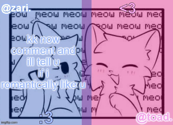 zari and toad's shared temp <3 | kk now comment and ill tell u if i romantically like u | image tagged in zari and toad's shared temp 3 | made w/ Imgflip meme maker