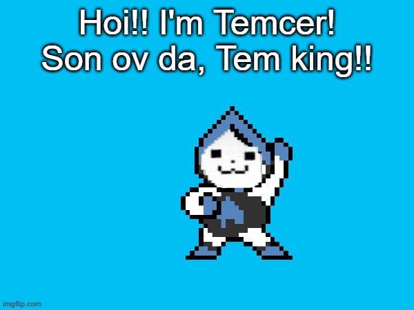 You... TEMS!!! | Hoi!! I'm Temcer! Son ov da, Tem king!! | image tagged in temmie | made w/ Imgflip meme maker