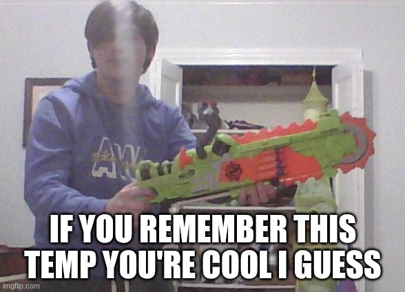 Ducc irl | IF YOU REMEMBER THIS TEMP YOU'RE COOL I GUESS | image tagged in ducc irl | made w/ Imgflip meme maker