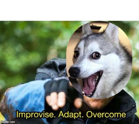 Bear Grylls Improvise Adapt Overcome | image tagged in bear grylls improvise adapt overcome | made w/ Imgflip meme maker