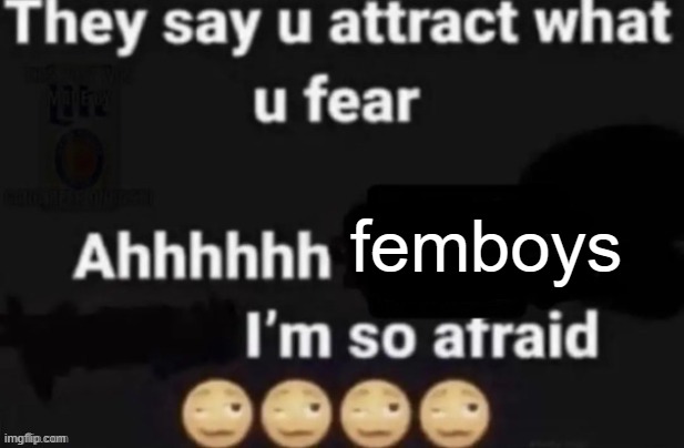 gayposting cuz bored | femboys | image tagged in they say you attract what you fear | made w/ Imgflip meme maker