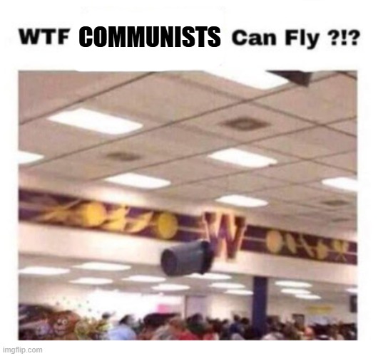 WTF --------- Can Fly ?!? | COMMUNISTS | image tagged in wtf --------- can fly | made w/ Imgflip meme maker