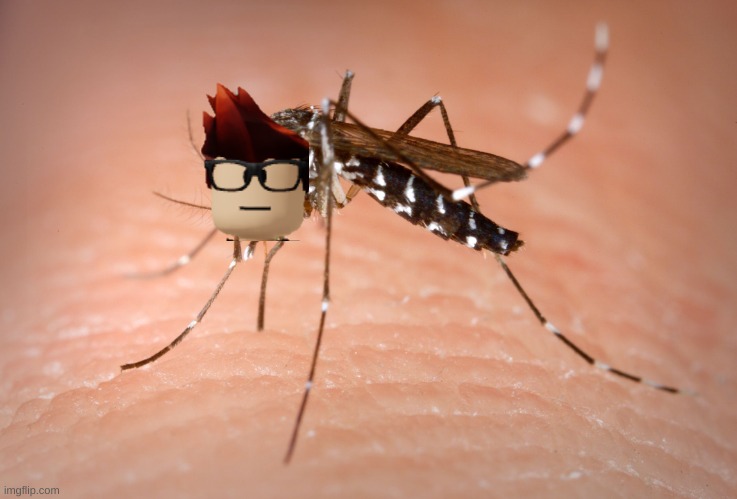 mosquito  | image tagged in mosquito | made w/ Imgflip meme maker