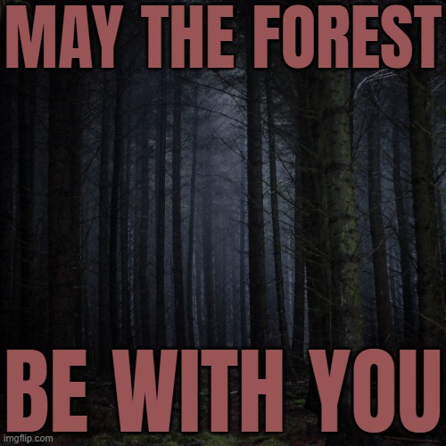 May The Forest Be With You | MAY THE FOREST; BE WITH YOU | image tagged in dark forest,nature,mother nature,beautiful nature,signature look of superiority,god religion universe | made w/ Imgflip meme maker