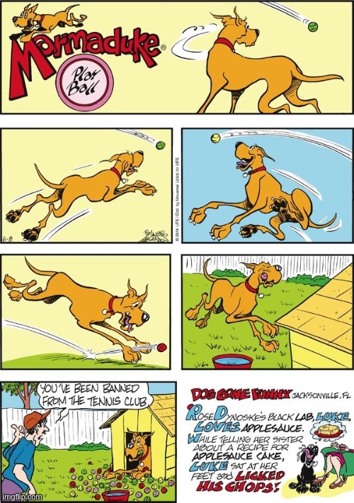 Marmaduke | image tagged in comics | made w/ Imgflip meme maker