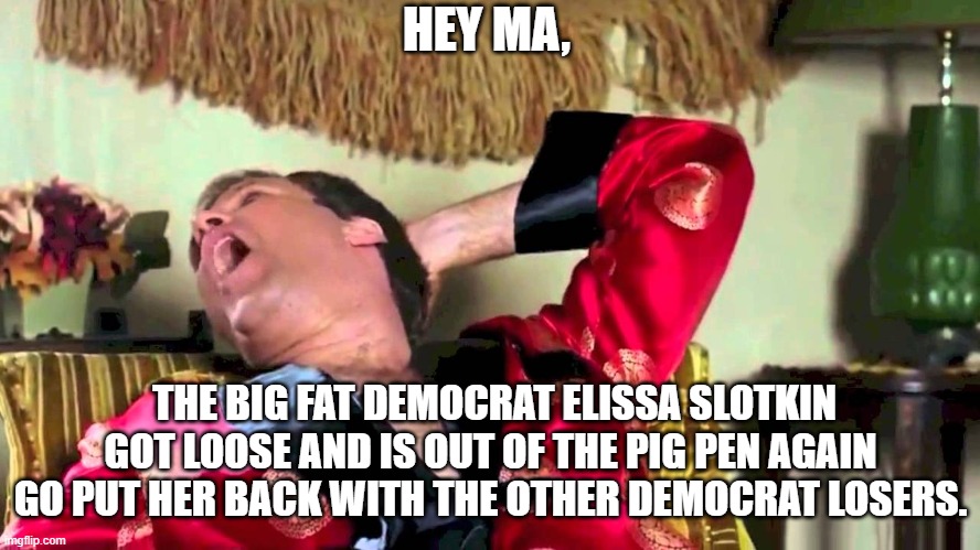 Time to put her back in the pen where she belongs. | HEY MA, THE BIG FAT DEMOCRAT ELISSA SLOTKIN GOT LOOSE AND IS OUT OF THE PIG PEN AGAIN GO PUT HER BACK WITH THE OTHER DEMOCRAT LOSERS. | image tagged in wedding crashers chaz,democrat,michigan,pigs,senators | made w/ Imgflip meme maker