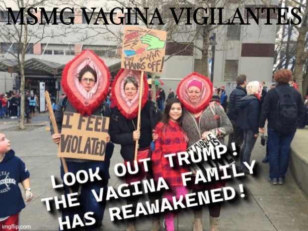 MSMG VAGINA VIGILANTES | made w/ Imgflip meme maker