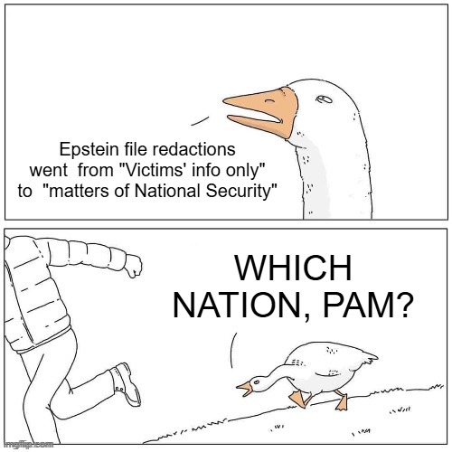 Goose Chase | Epstein file redactions went  from "Victims' info only" to  "matters of National Security"; WHICH NATION, PAM? | image tagged in goose chase,jeffrey epstein,democrats,national security,victim | made w/ Imgflip meme maker