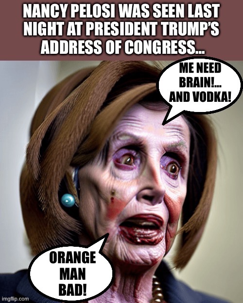 Nancy was looking particularly nasty… | ORANGE
MAN
BAD! | image tagged in political meme | made w/ Imgflip meme maker
