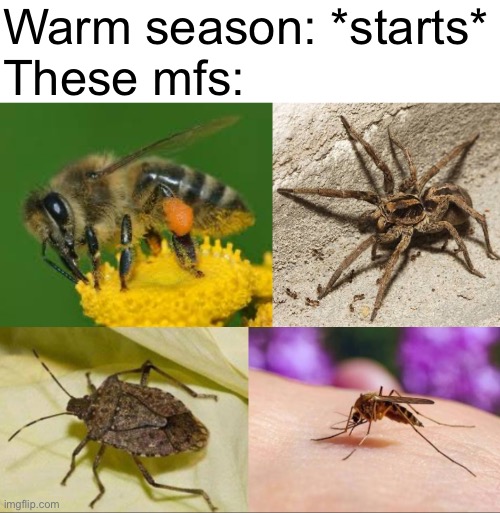 Warm season: *starts*

These mfs: | image tagged in memes | made w/ Imgflip meme maker