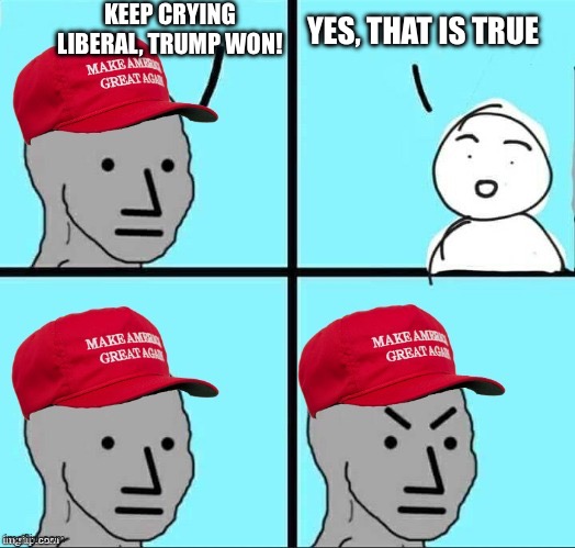 Can’t go a day without repeating this at least 50 times | KEEP CRYING LIBERAL, TRUMP WON! YES, THAT IS TRUE | image tagged in maga npc an an0nym0us template | made w/ Imgflip meme maker