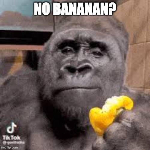 condescending monke | NO BANANAN? | image tagged in condescending monke,monke,shitpost,bananan,msmg,memes | made w/ Imgflip meme maker