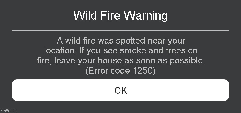 Wild fire Warning Roblox error code | Wild Fire Warning; A wild fire was spotted near your location. If you see smoke and trees on fire, leave your house as soon as possible. (Error code 1250) | image tagged in roblox error message | made w/ Imgflip meme maker