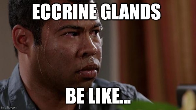 sweating bullets | ECCRINE GLANDS; BE LIKE... | image tagged in sweating bullets | made w/ Imgflip meme maker