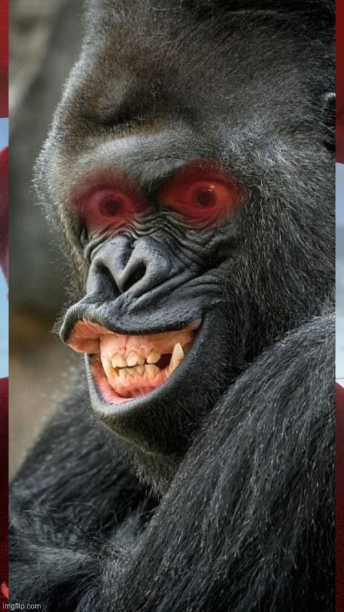 Happy/Scared Monkey | image tagged in happy/scared monkey | made w/ Imgflip meme maker