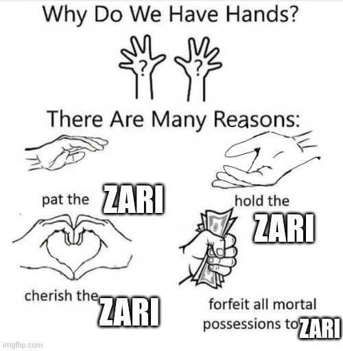 Why Do We Have Hands | ZARI ZARI ZARI ZARI | image tagged in why do we have hands | made w/ Imgflip meme maker