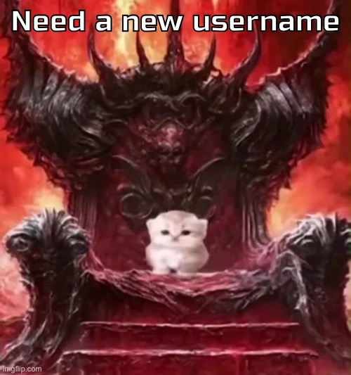 Kitty :3 | Need a new username | image tagged in kitty 3 | made w/ Imgflip meme maker