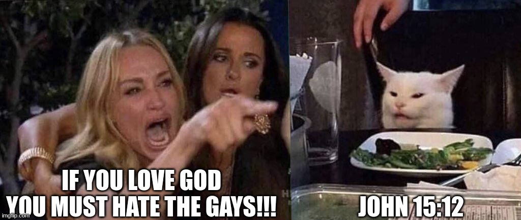 Jesus loved everyone :) | IF YOU LOVE GOD YOU MUST HATE THE GAYS!!! JOHN 15:12 | image tagged in woman yelling at cat | made w/ Imgflip meme maker