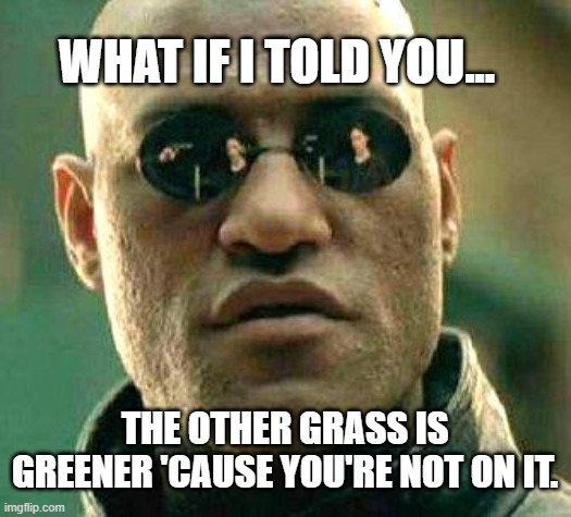 talking to my divorced sister | WHAT IF I TOLD YOU... THE OTHER GRASS IS GREENER 'CAUSE YOU'RE NOT ON IT. | image tagged in what if i told you | made w/ Imgflip meme maker