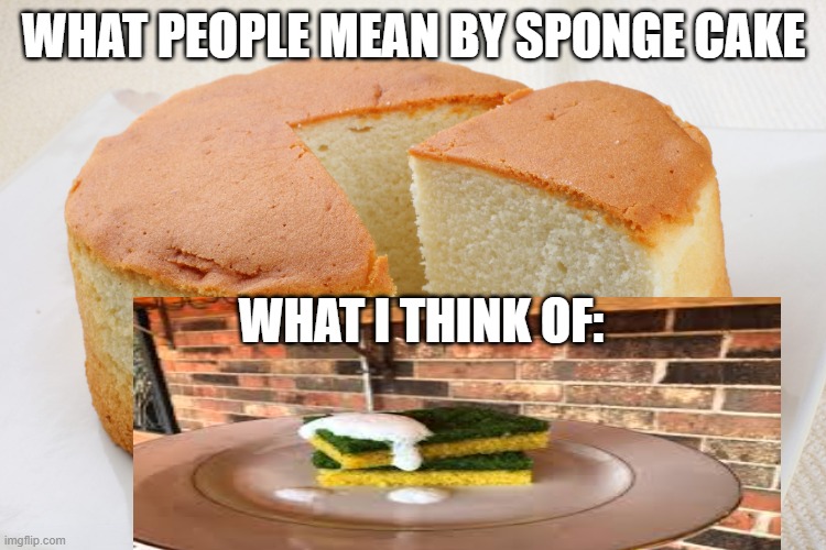 Funny | WHAT PEOPLE MEAN BY SPONGE CAKE; WHAT I THINK OF: | image tagged in sponge cake | made w/ Imgflip meme maker