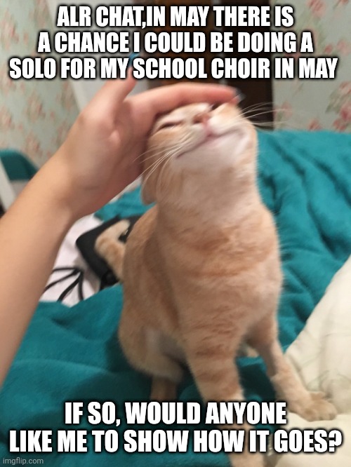 I'll be in the school play too :> | ALR CHAT,IN MAY THERE IS A CHANCE I COULD BE DOING A SOLO FOR MY SCHOOL CHOIR IN MAY; IF SO, WOULD ANYONE LIKE ME TO SHOW HOW IT GOES? | image tagged in cat pat | made w/ Imgflip meme maker