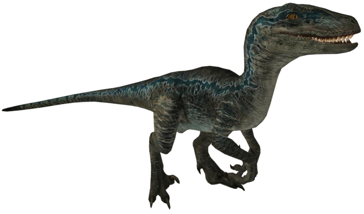 Blue 15 Blank Meme Template