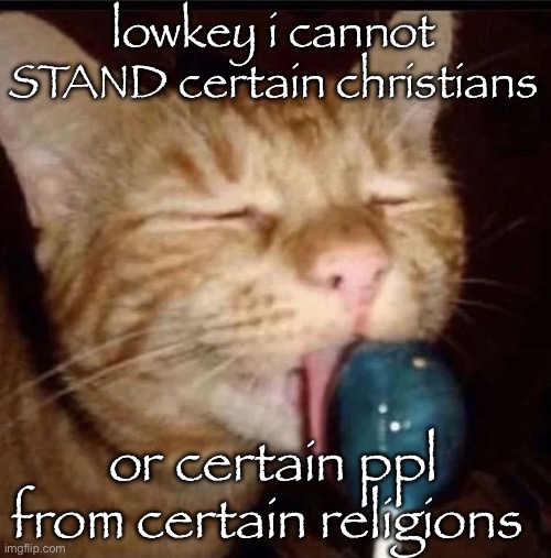 there is a reason it says certain guys. | lowkey i cannot STAND certain christians; or certain ppl from certain religions | image tagged in silly goober 2 | made w/ Imgflip meme maker