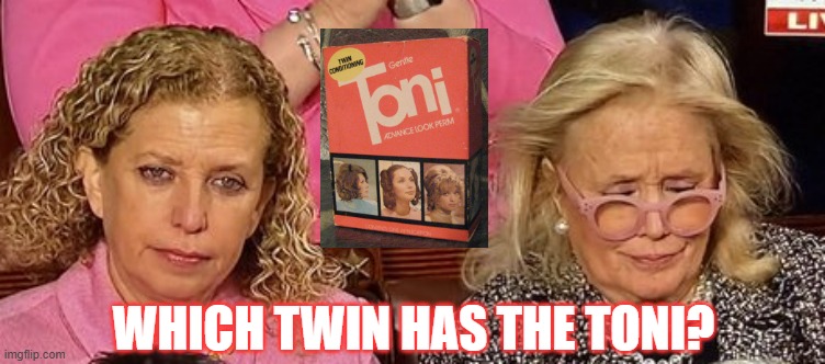 Twinkies | WHICH TWIN HAS THE TONI? | image tagged in democrats,protests,silly | made w/ Imgflip meme maker