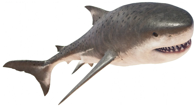 Megalodon (JWE Design) Blank Meme Template