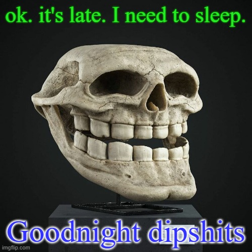 troll announcement temp | ok. it's late. I need to sleep. Goodnight dipshits | image tagged in troll announcement temp | made w/ Imgflip meme maker