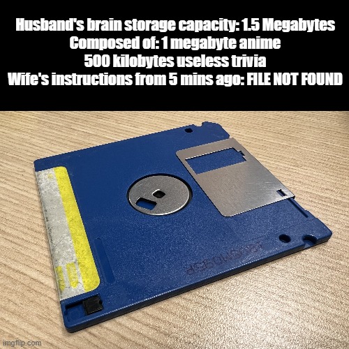 Husband's Brain Capacity | Husband's brain storage capacity: 1.5 Megabytes
Composed of: 1 megabyte anime
500 kilobytes useless trivia
Wife's instructions from 5 mins ago: FILE NOT FOUND | image tagged in black square,brain,humor,marriage | made w/ Imgflip meme maker