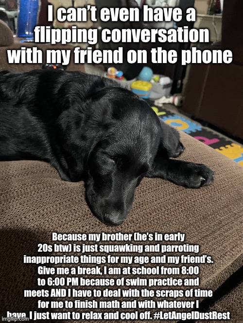#LetAngelDustRest | I can’t even have a flipping conversation with my friend on the phone; Because my brother (he’s in early 20s btw) is just squawking and parroting inappropriate things for my age and my friend’s. Give me a break, I am at school from 8:00 to 6:00 PM because of swim practice and meets AND I have to deal with the scraps of time for me to finish math and with whatever I have, I just want to relax and cool off. #LetAngelDustRest | image tagged in let me sleep | made w/ Imgflip meme maker