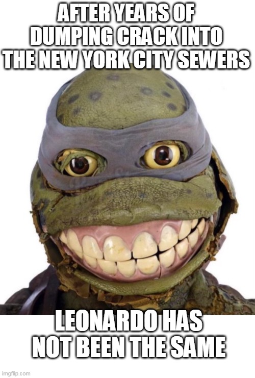 after years of dumping crack into the New York city sewers Leonardo has not been the same | AFTER YEARS OF DUMPING CRACK INTO THE NEW YORK CITY SEWERS; LEONARDO HAS NOT BEEN THE SAME | image tagged in leonardo,funny,crack,new york city,teenage mutant ninja turtles,sewers | made w/ Imgflip meme maker