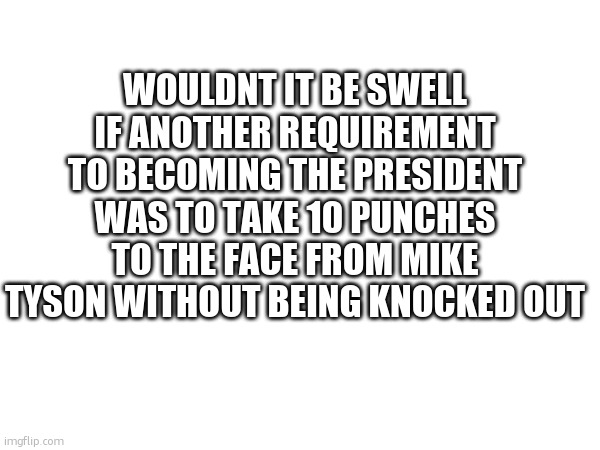 WOULDNT IT BE SWELL IF ANOTHER REQUIREMENT TO BECOMING THE PRESIDENT WAS TO TAKE 10 PUNCHES TO THE FACE FROM MIKE TYSON WITHOUT BEING KNOCKED OUT | image tagged in ideas | made w/ Imgflip meme maker