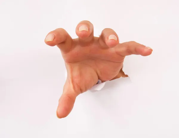 Stock hand Blank Meme Template