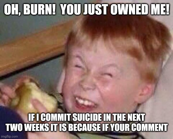 Apple eating kid | OH, BURN!  YOU JUST OWNED ME! IF I COMMIT SUICIDE IN THE NEXT TWO WEEKS IT IS BECAUSE IF YOUR COMMENT | image tagged in apple eating kid | made w/ Imgflip meme maker