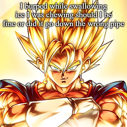 Vegito stanced tf up | I burped while swallowing ice I was chewing should I be fine or did it go down the wrong pipe | image tagged in vegito stanced tf up | made w/ Imgflip meme maker
