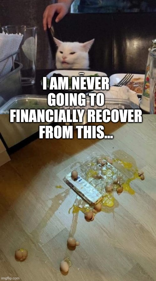 I AM NEVER GOING TO FINANCIALLY RECOVER FROM THIS... | image tagged in smudge that darn cat | made w/ Imgflip meme maker