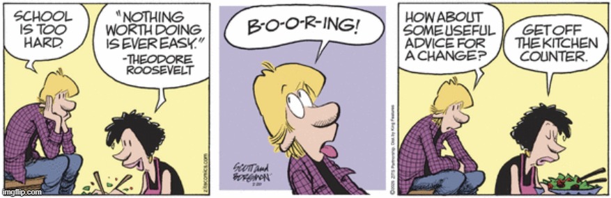 Zits | image tagged in comics | made w/ Imgflip meme maker