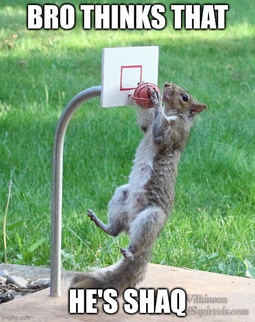 Sqirrly | BRO THINKS THAT; HE'S SHAQ | image tagged in squirrel basketball | made w/ Imgflip meme maker