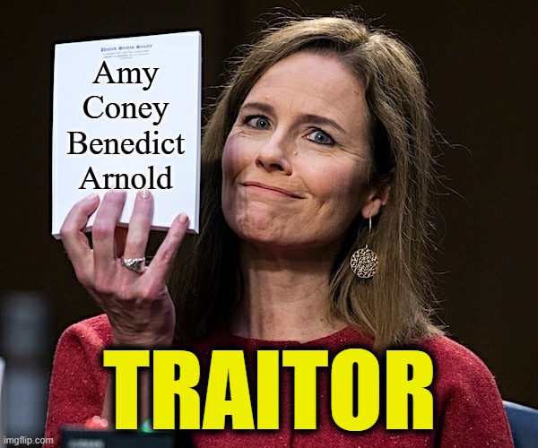 Amy Coney Barrett Blank Notes | Amy Coney Benedict Arnold; TRAITOR | image tagged in amy coney barrett blank notes,traitor,supreme court,rino,benedict arnold | made w/ Imgflip meme maker