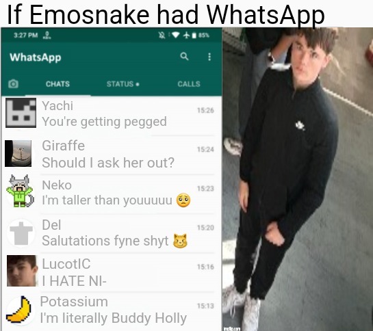 If Emosnake had WhatsApp v2 | image tagged in if emosnake had whatsapp v2 | made w/ Imgflip meme maker