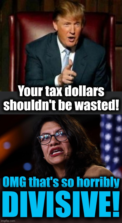 A spoonful of the democrats' insanity | Your tax dollars shouldn't be wasted! OMG that's so horribly; DIVISIVE! | image tagged in donald trump,memes,trump derangement syndrome,wasteful government spending,democrats,insanity | made w/ Imgflip meme maker