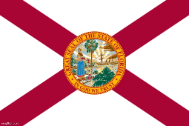 florida flag | image tagged in florida flag | made w/ Imgflip meme maker