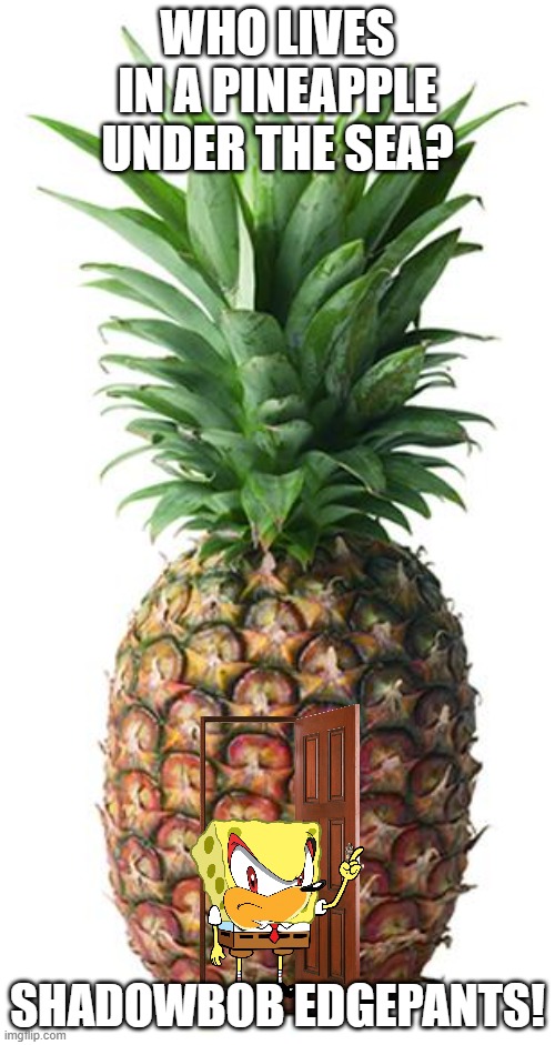 Shadowbob Edgepants | WHO LIVES IN A PINEAPPLE UNDER THE SEA? SHADOWBOB EDGEPANTS! | image tagged in pineapple | made w/ Imgflip meme maker