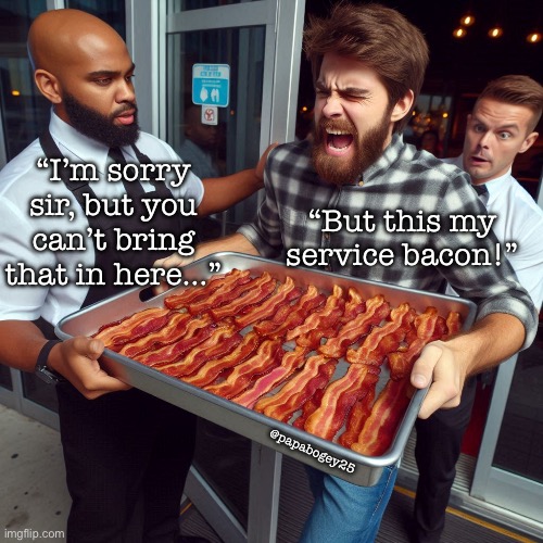 Service bacon | “I’m sorry sir, but you can’t bring that in here…”; “But this my service bacon!”; @papabogey25 | image tagged in bacon,service | made w/ Imgflip meme maker