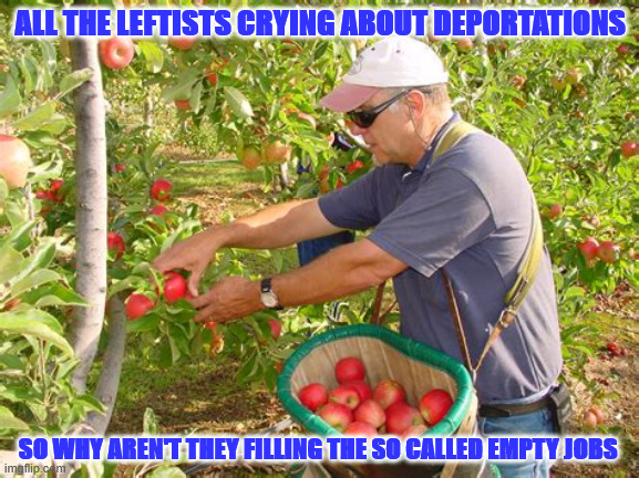 Deportation | ALL THE LEFTISTS CRYING ABOUT DEPORTATIONS; SO WHY AREN'T THEY FILLING THE SO CALLED EMPTY JOBS | image tagged in ag workers | made w/ Imgflip meme maker