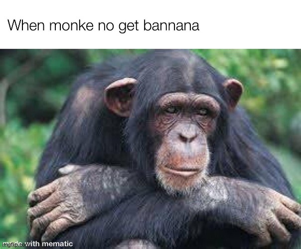 image tagged in memes,repost,shitpost,monke | made w/ Imgflip meme maker